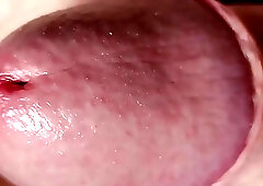 Foreskin Play Close-Up