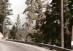 From grandad's Closet: Blonds Do It best (1985)