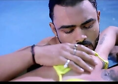 Desi Wife Sucking Ane Fucking with Big Cock