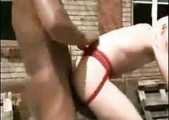 Hot Interracial Studs Banging Outdoor