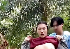 Ngewe Sama Anak Di Kebun Sawit Indonesia Crot Dalam