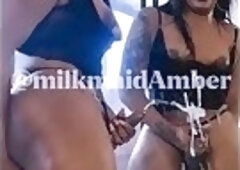 Comp. TS M1lkm@idAmb3r