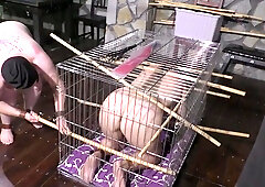 2 Slaves 24h Challenge - Titslave Liz & Slave ThannaA - Chapter 8 - Cage & Training Time - Part 1 mp4 HD