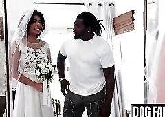 DOGFART - Hawt Hazel Heart's Final Ride - Bride Cheats with Monster Shlong Previous to Saying "I Do"