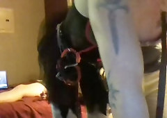 Trans Costume Play Finger-Banged and Boned Three-Way