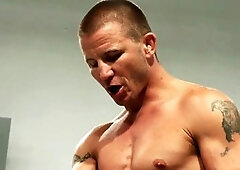 In english, giant cocks, bear