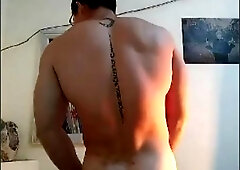 Japanese Muscle Wolf 220