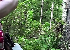 Bears Breeding In Back Of Truck