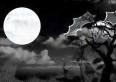 Brown Bunnies Behind The Scenes With Mimi Curvaceous