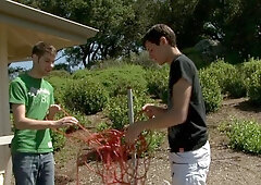 Next Door Twink: Max & Mike: Bored Young Bucks