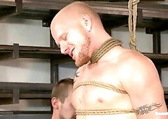 Hd videos, abjection, faphouse