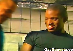 Black Ghetto Gay Lover on Anal Fucking Action