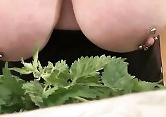 Nettle Baths for Impure PigSlut's Udders