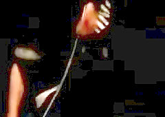 Jo PARADOX [MUSIC video]