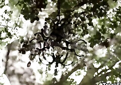 Bunny Colby, sneaks into a cottage garden that babe sneaks around and does some harmless pranks, like turning the water in the garden fountain pink, t