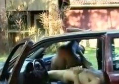 Horny male in crazy interracial gay adult clip