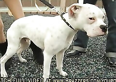 Morgan Layne - Super Doggystyle 2