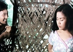 Kisah Asmara Para Perawan