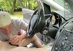 A Sunny Car Encounter