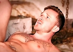 Blowjob, hd videos, anal