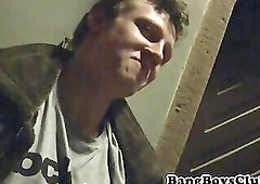 Young euro stud plowed from behind