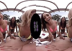 VirtualRealTrans.com - Spring breakers