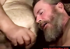 Bearded straight amateur dilfs sucking