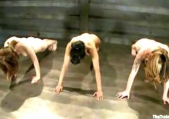 Training For The Newcomers