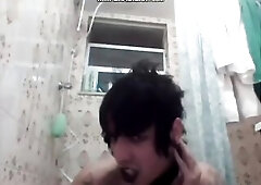 Metamorphosis Butterfly