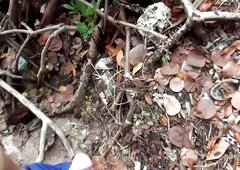 Cheerleader Sucks Me Off In The Backyard