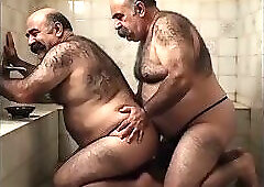 Turkish Bears in the Bath