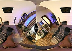 Night with Daisy - VRHARD