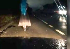 Blue Sissy in action