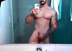 Willian Schefer (solo)