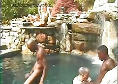 Interracial Couples Fucking In Public