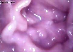 LAUGHABLE TRIBUTE TO ELDERLY COCKSMOKERS! GRANNIES STILL PUNK RODS!