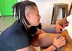 itri gaucho 2