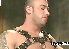 Bound fag with opened up gams anally fucked in bed