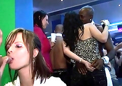 Gang bang patty at night club weenies and pusses each where