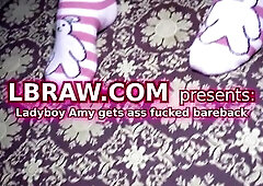 Lewd Ladyboy Amy Bareback Anal
