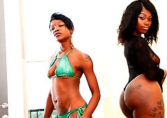 Gorgeous ebony Kitty Thunder strokes a long white dick on the knees