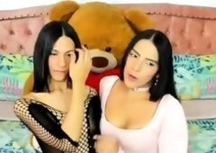 Amateur shemale tranny asshole fucked