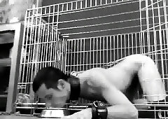 Master Mulatto'S Feet