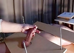 Girl shows off her slave's cock and toes and teases