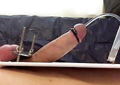 E-stim Ejaculation Jizm Bevy Urethra Tubing 024