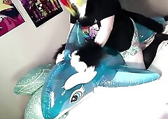 bulky fur humps his recent shiny pool toy