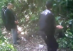 Spycam - 2/01/2020 - Japanese Outdoor Joy trio