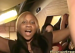 Lavish babes play with big stripper cocks and suck them off