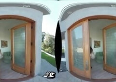 Domo Arigato ft Marica Hase