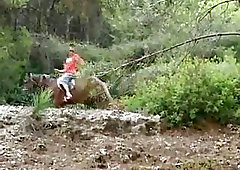 Fucking In The Forest